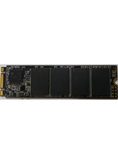 M.2 PCIe 2280 PRINCETON 256GB